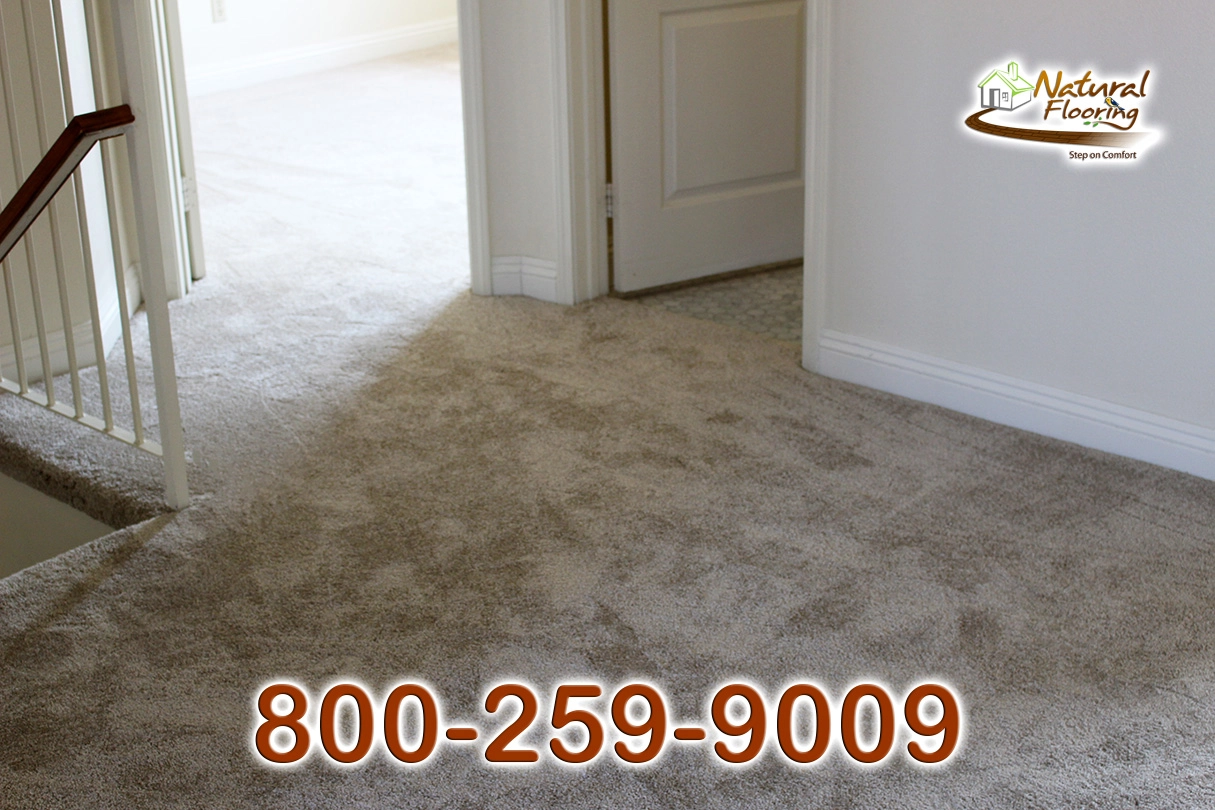 Soft Luxury Latte Carpet