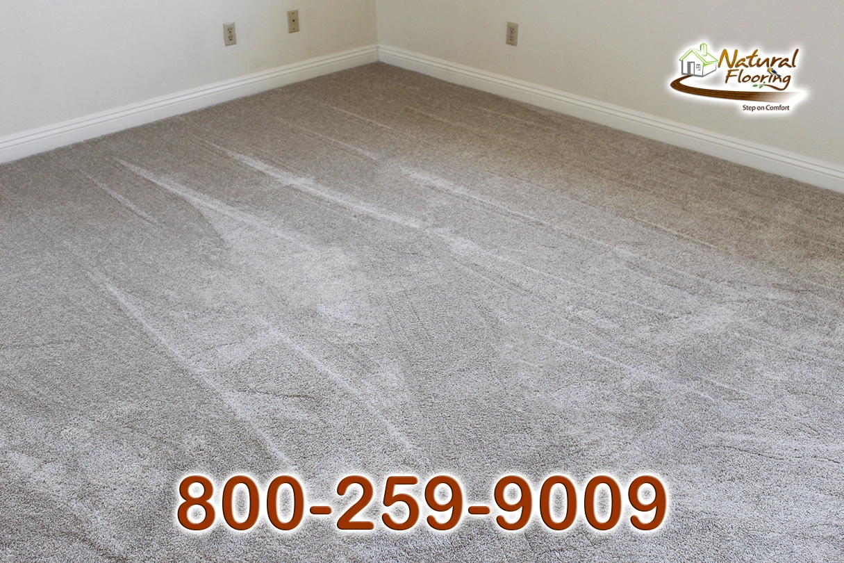 Soft Luxury Latte Carpet