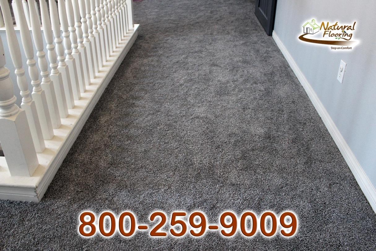 Sparkle Carpet