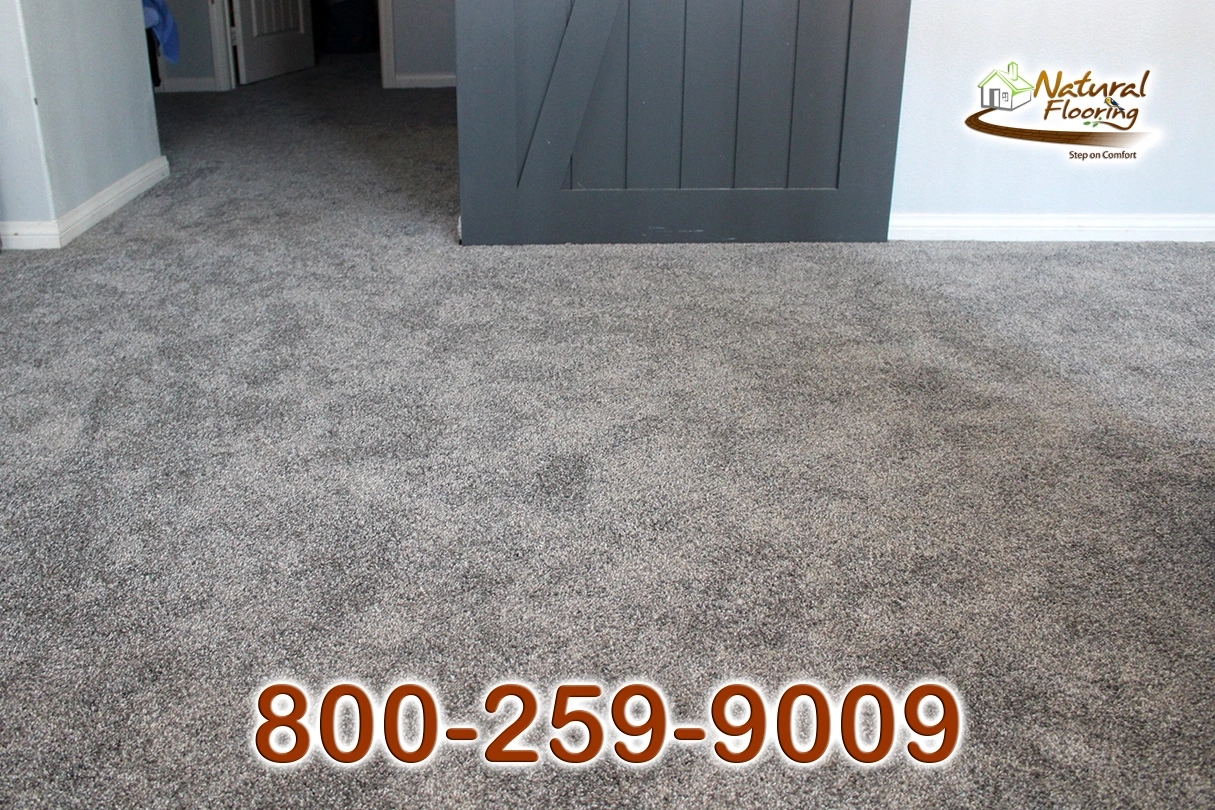 Sparkle Carpet