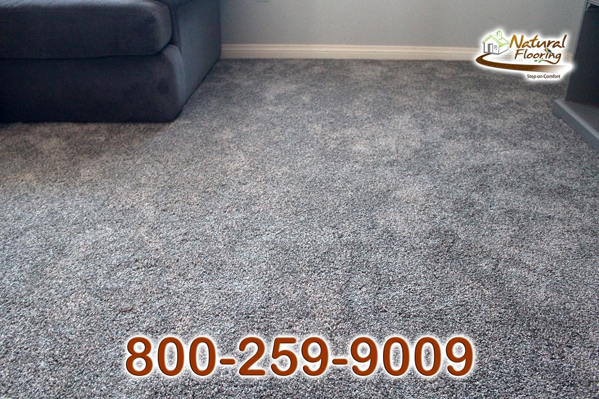 Sparkle Carpet