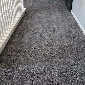 Sparkle Carpet No Limit Dreamweaver 1 420602