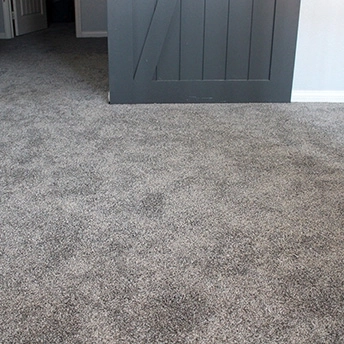 Sparkle Carpet No Limit Dreamweaver 2 900644