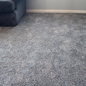 Sparkle Carpet No Limit Dreamweaver 4 805814