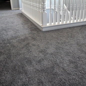 Sparkle Carpet No Limit Dreamweaver 5 245899