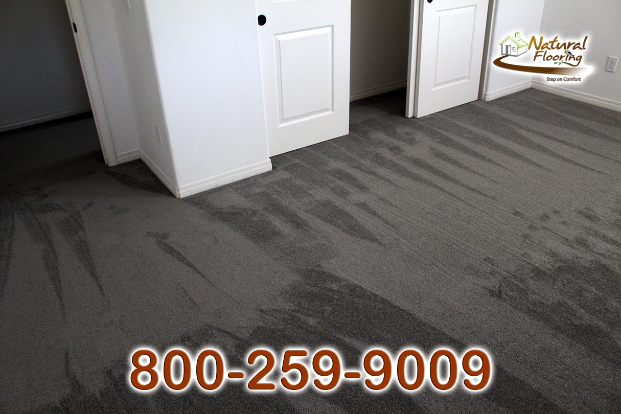 Elegant Gray Carpet
