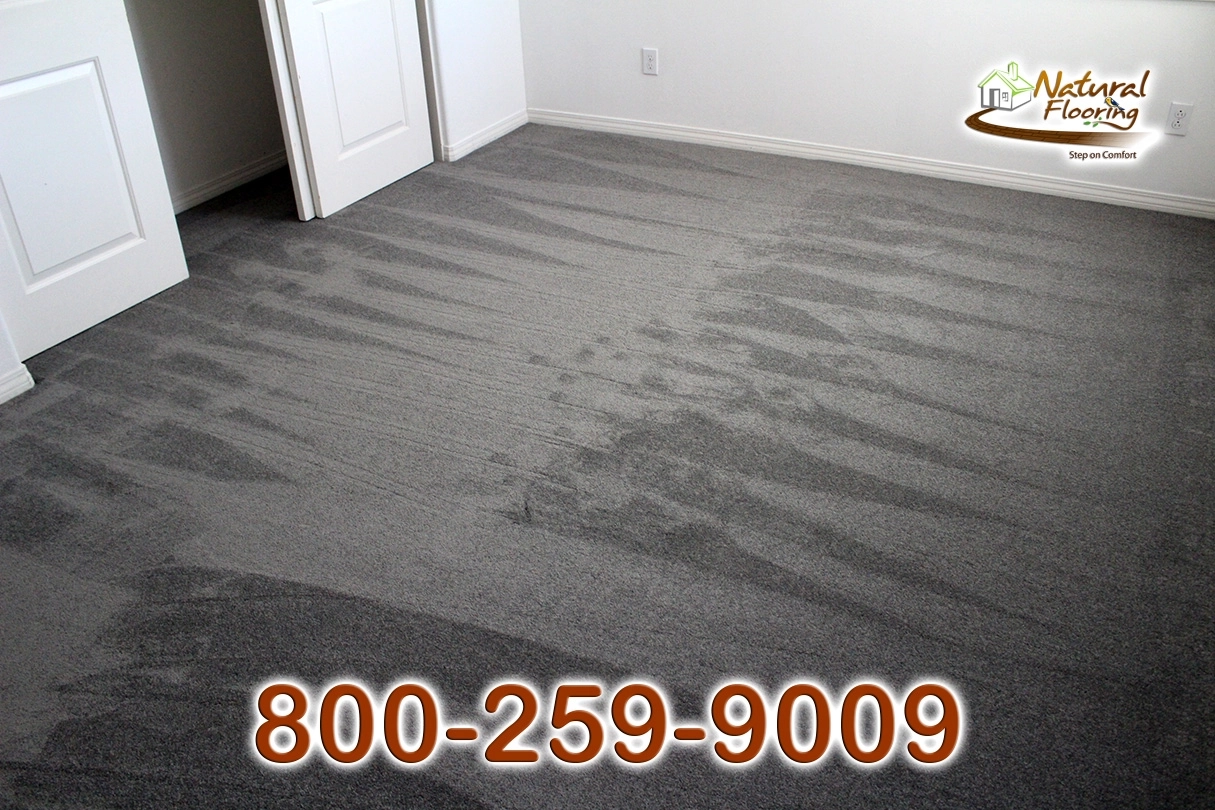 Elegant Gray Carpet