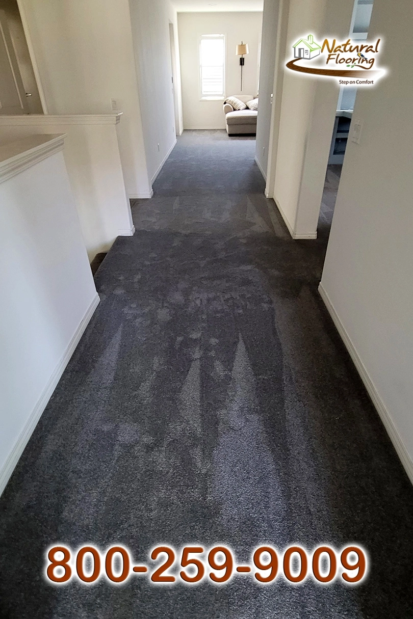Elegant Gray Carpet
