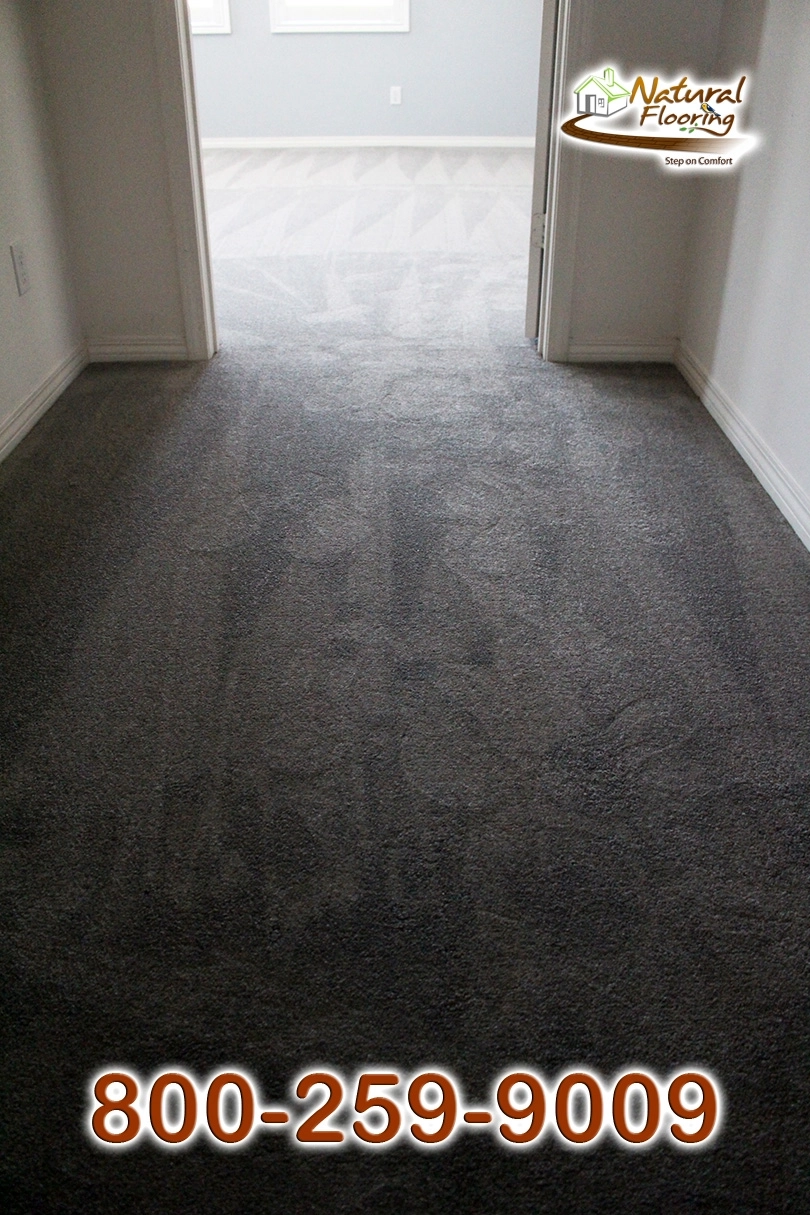 Elegant Gray Carpet
