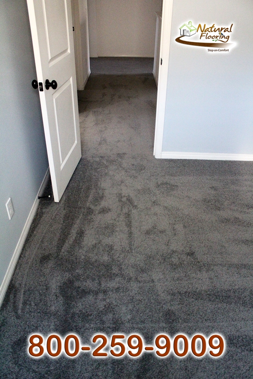 Elegant Gray Carpet