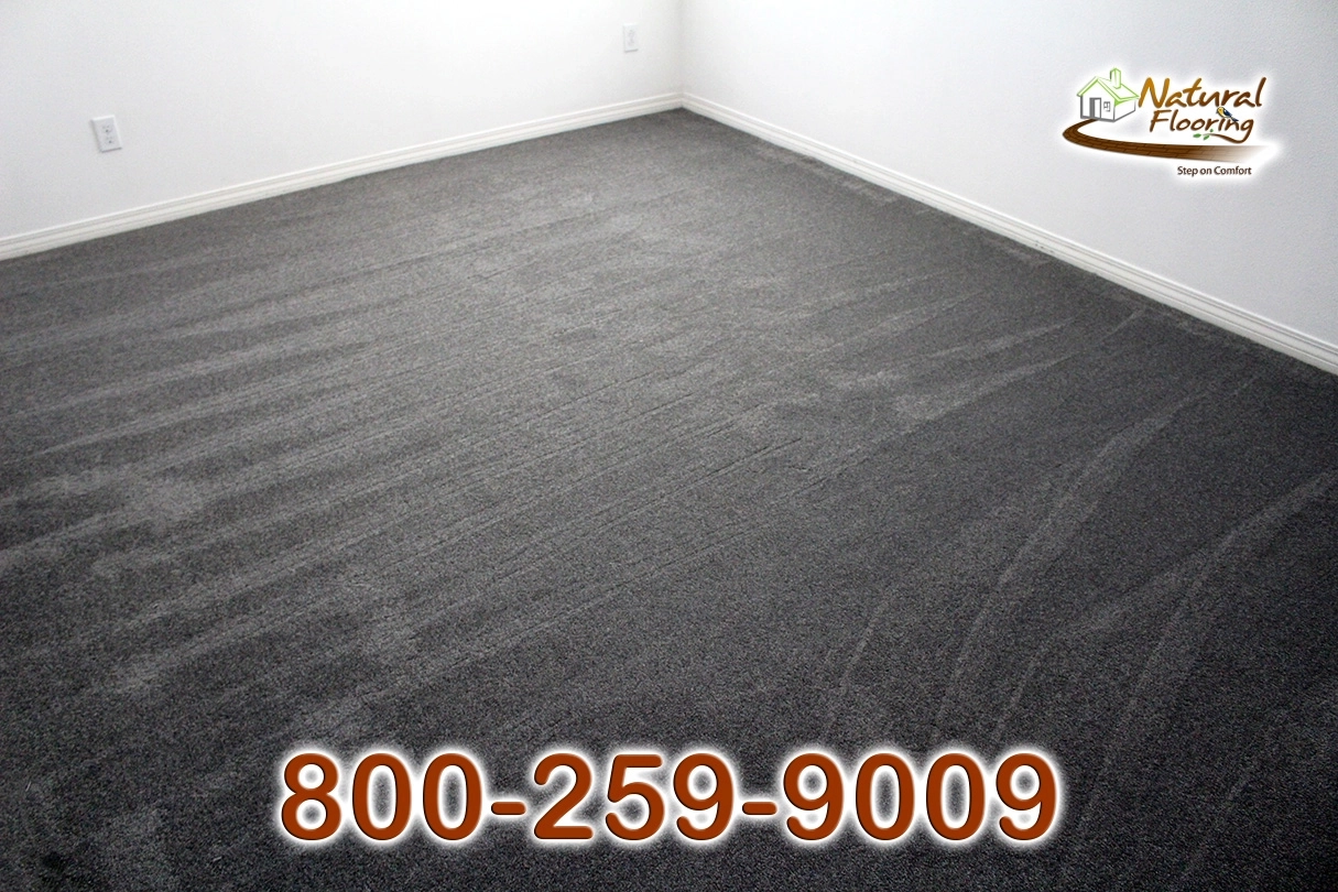 Elegant Gray Carpet