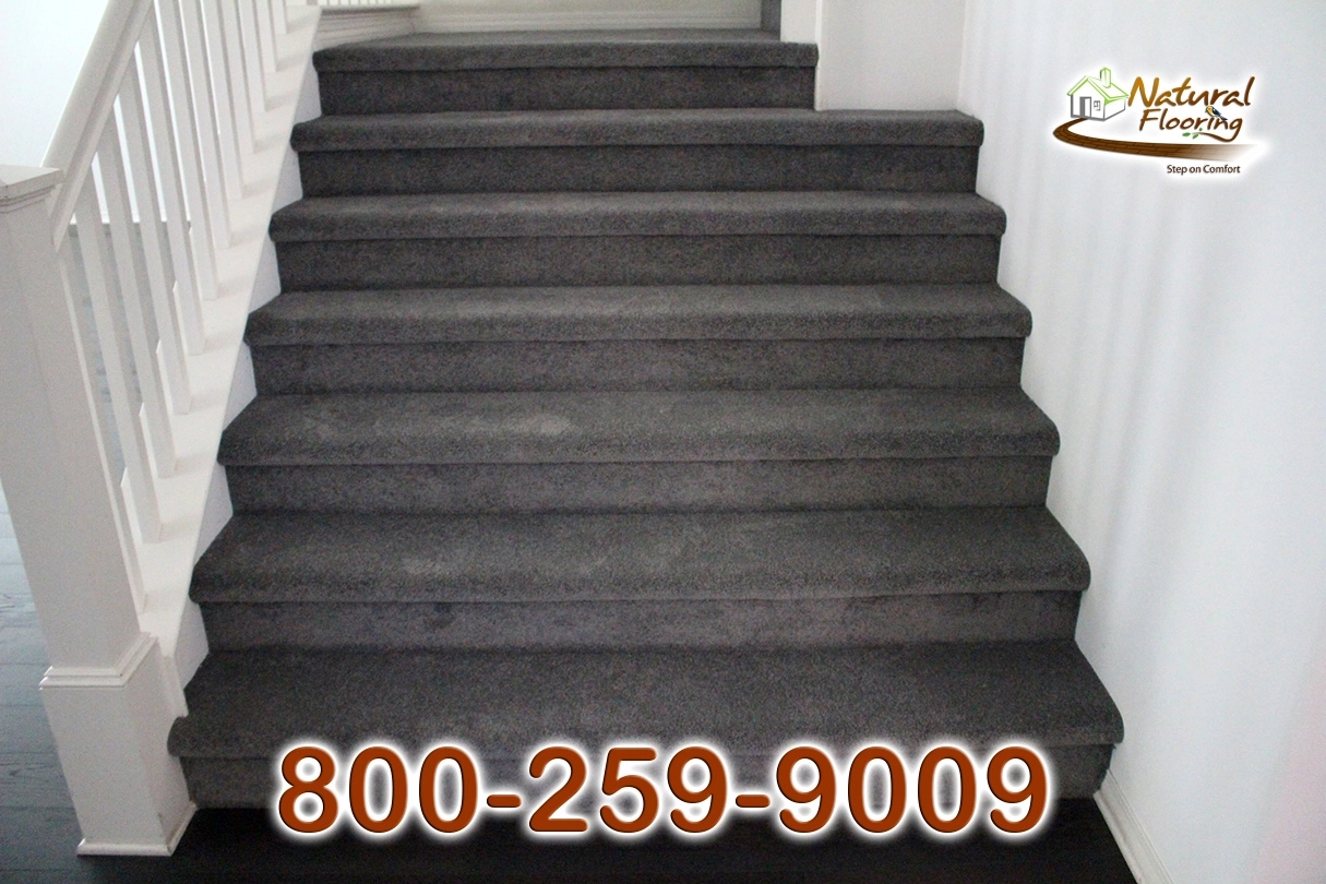 Elegant Gray Carpet