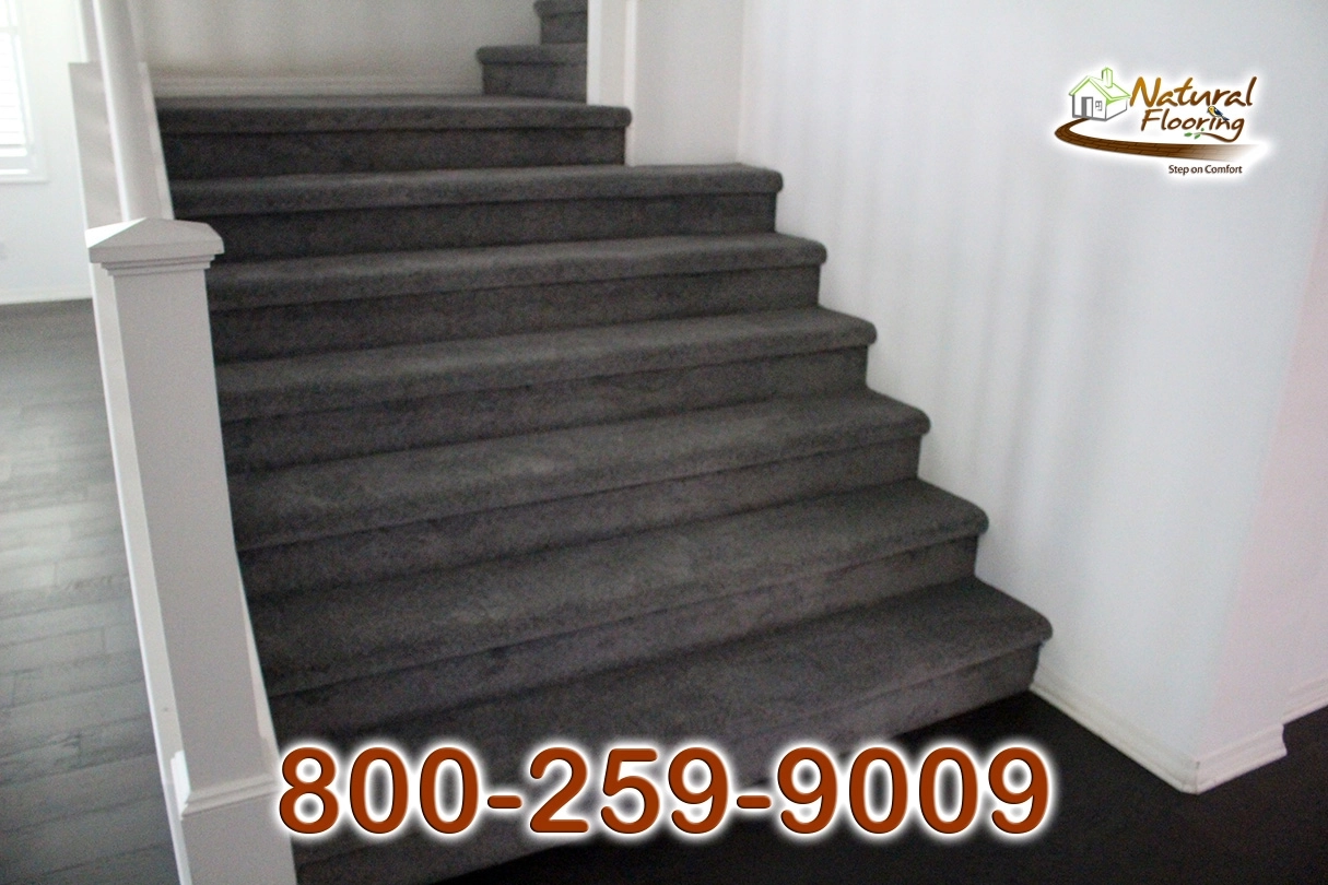 Elegant Gray Carpet
