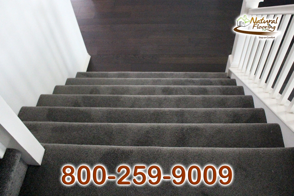 Elegant Gray Carpet