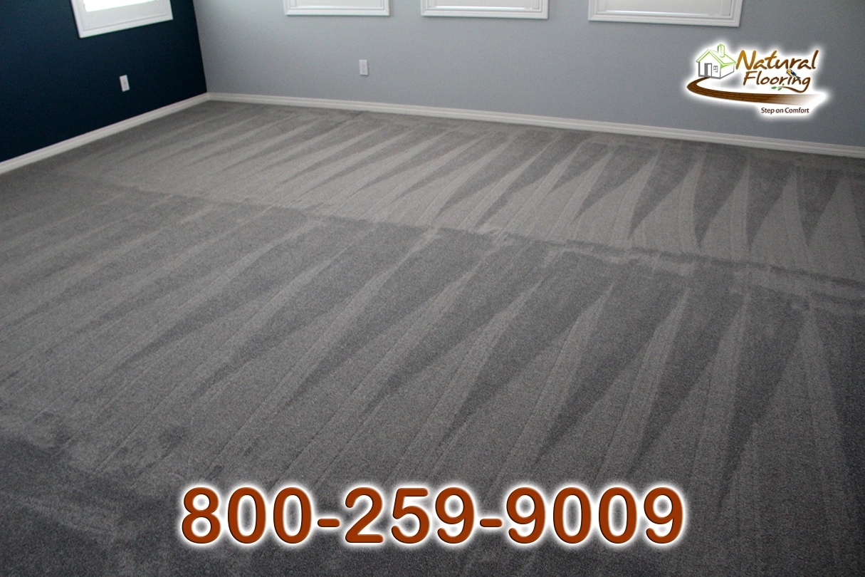 Elegant Gray Carpet