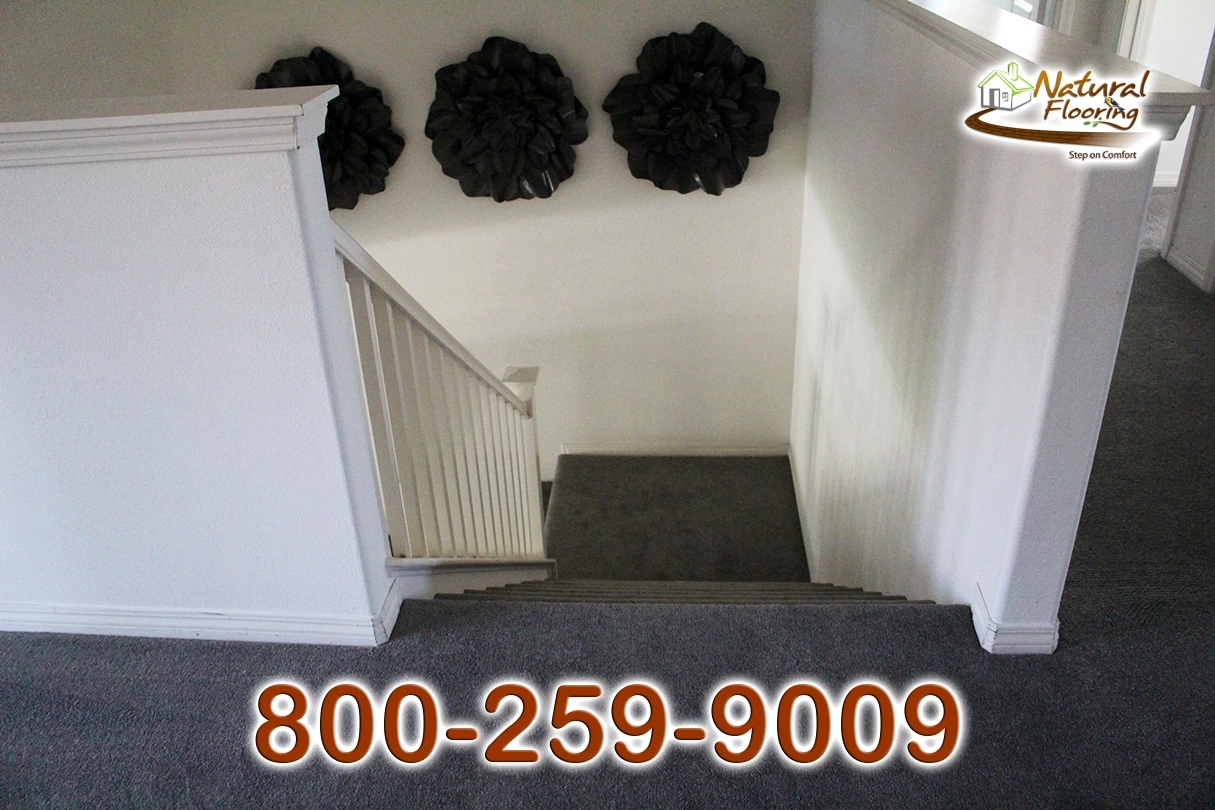 Elegant Gray Carpet
