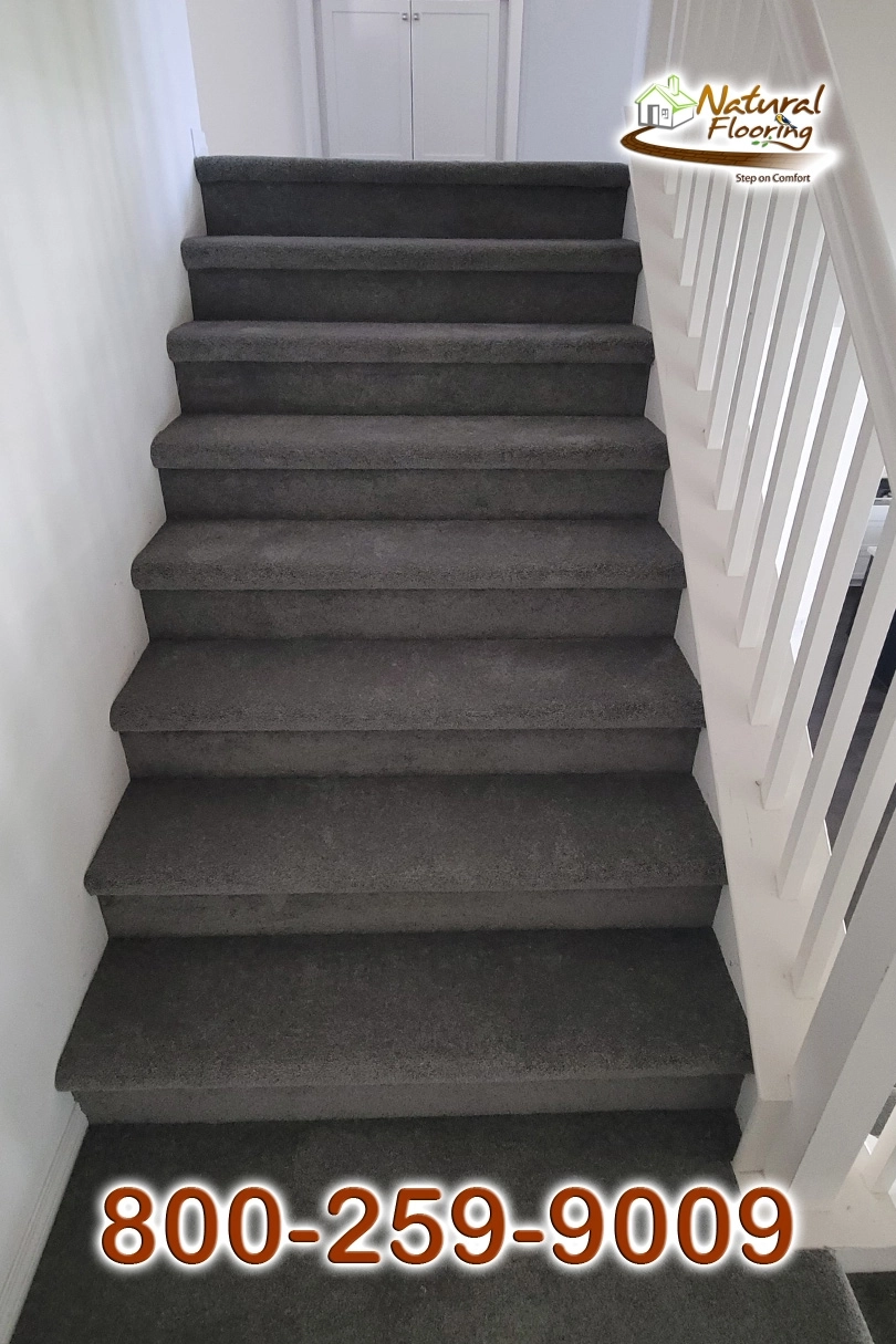 Elegant Gray Carpet