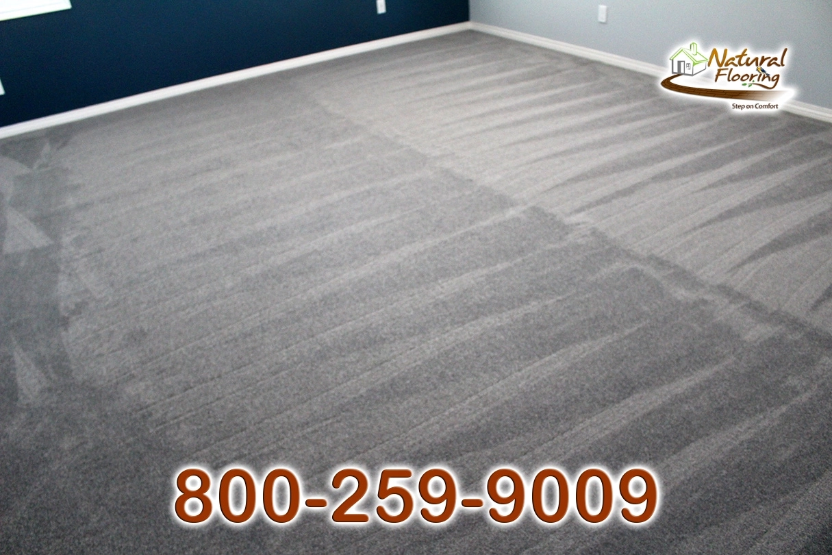 Elegant Gray Carpet