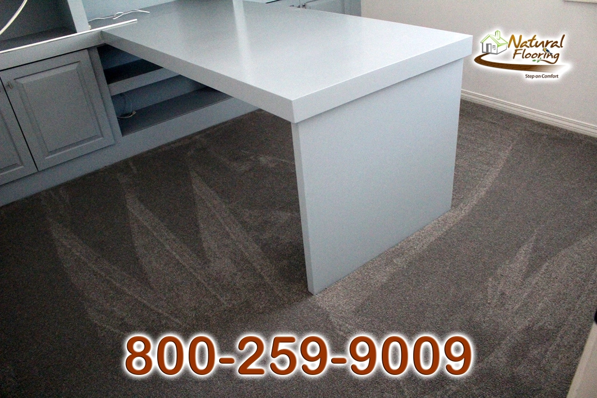 Elegant Gray Carpet