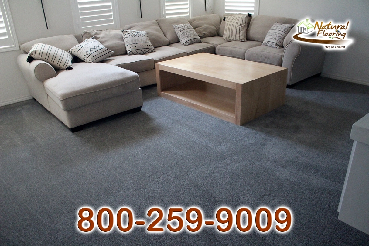 Elegant Gray Carpet
