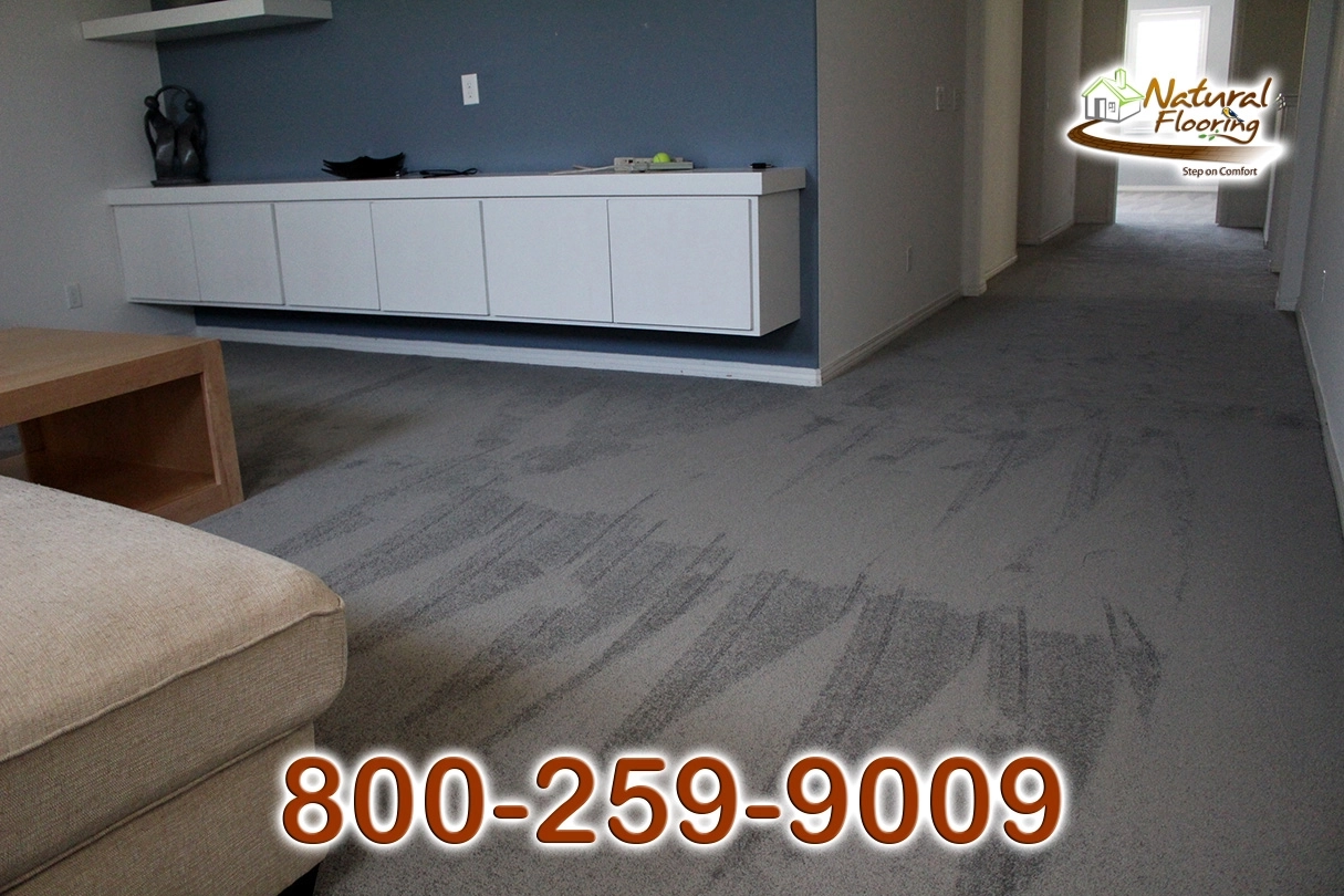 Elegant Gray Carpet