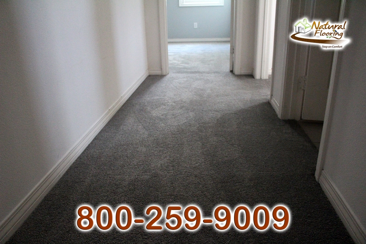 Elegant Gray Carpet