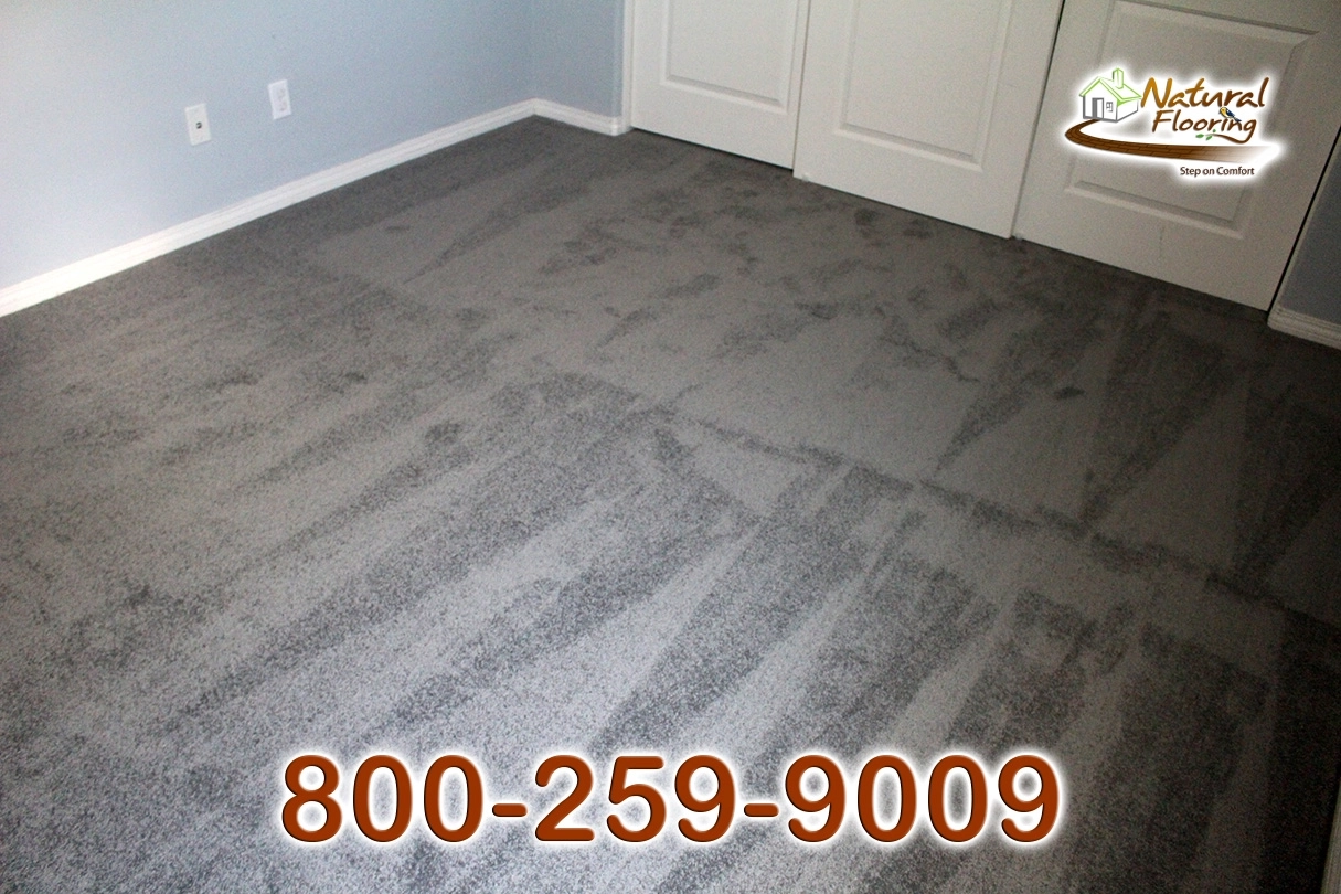 Elegant Gray Carpet