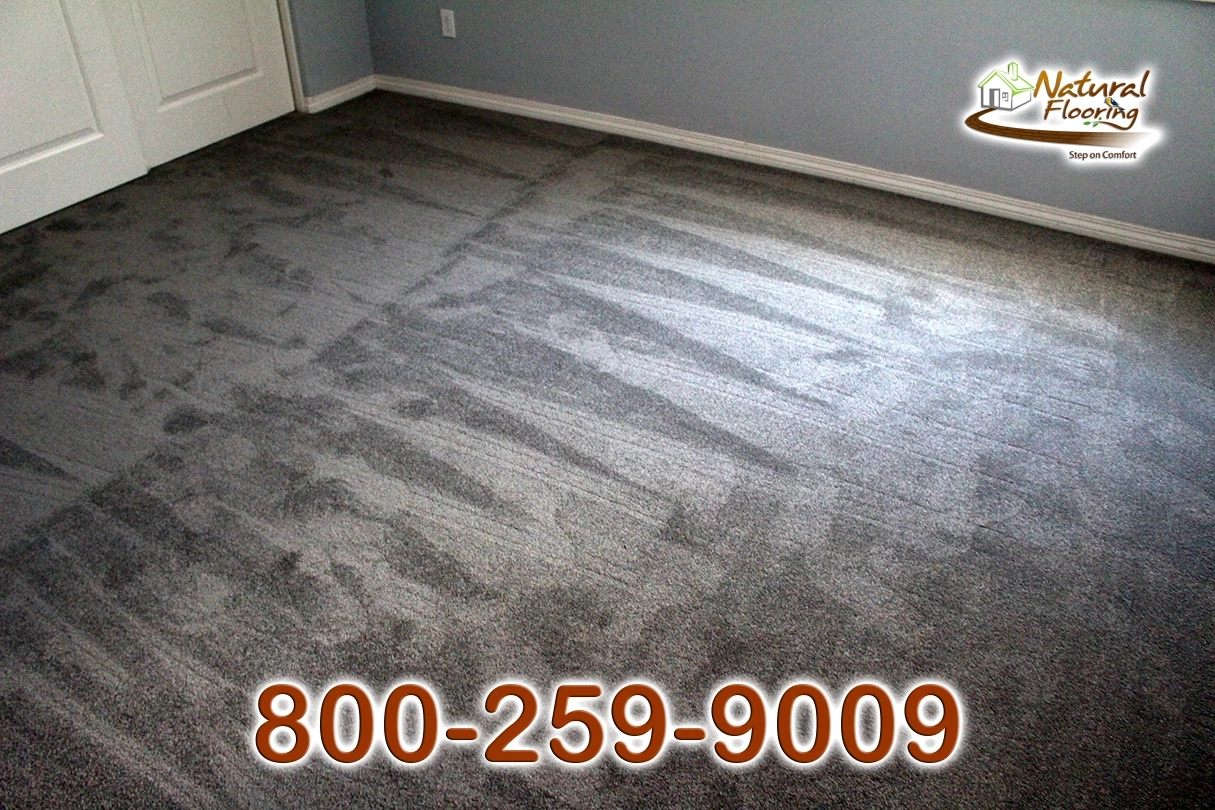 Elegant Gray Carpet