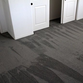 StainmasterRarefieldAirIIElegantGrayCarpet 10 716079