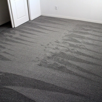 StainmasterRarefieldAirIIElegantGrayCarpet 11 164929