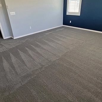 StainmasterRarefieldAirIIElegantGrayCarpet 12 687752