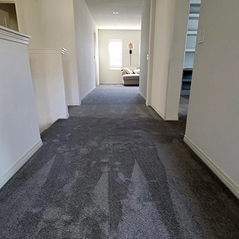 StainmasterRarefieldAirIIElegantGrayCarpet 13 920181