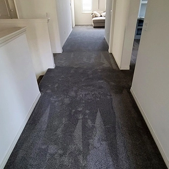 StainmasterRarefieldAirIIElegantGrayCarpet 14 633186