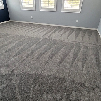 StainmasterRarefieldAirIIElegantGrayCarpet 15 447612