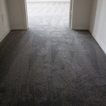 StainmasterRarefieldAirIIElegantGrayCarpet 16 618408