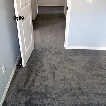 StainmasterRarefieldAirIIElegantGrayCarpet 17 562387