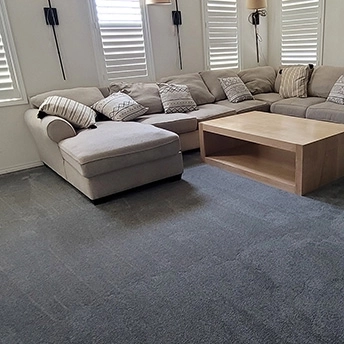 StainmasterRarefieldAirIIElegantGrayCarpet 18 160047