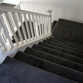 StainmasterRarefieldAirIIElegantGrayCarpet 19 797280