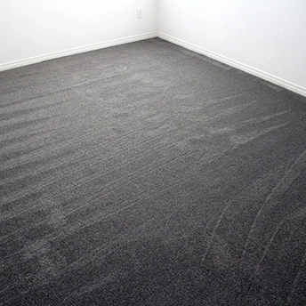 StainmasterRarefieldAirIIElegantGrayCarpet 1 506145