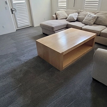 StainmasterRarefieldAirIIElegantGrayCarpet 22 815156