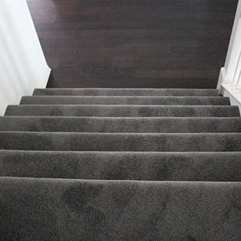StainmasterRarefieldAirIIElegantGrayCarpet 23 953935