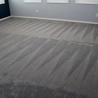 StainmasterRarefieldAirIIElegantGrayCarpet 24 584390