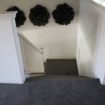 StainmasterRarefieldAirIIElegantGrayCarpet 25 333360