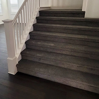 StainmasterRarefieldAirIIElegantGrayCarpet 28 937552