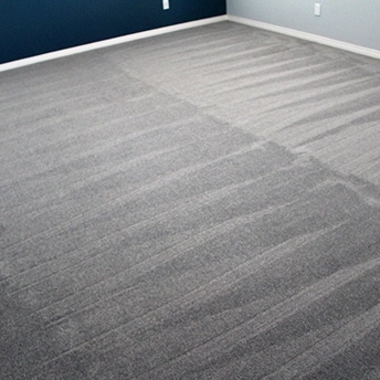 StainmasterRarefieldAirIIElegantGrayCarpet 2 481971