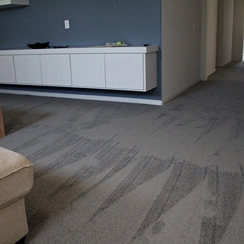 StainmasterRarefieldAirIIElegantGrayCarpet 5 412333