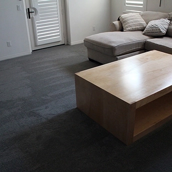 StainmasterRarefieldAirIIElegantGrayCarpet 7 673117