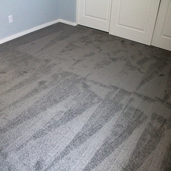 StainmasterRarefieldAirIIElegantGrayCarpet 8 405372