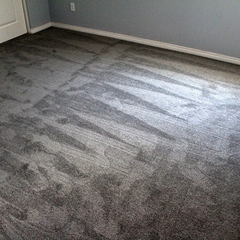 StainmasterRarefieldAirIIElegantGrayCarpet 9 631046