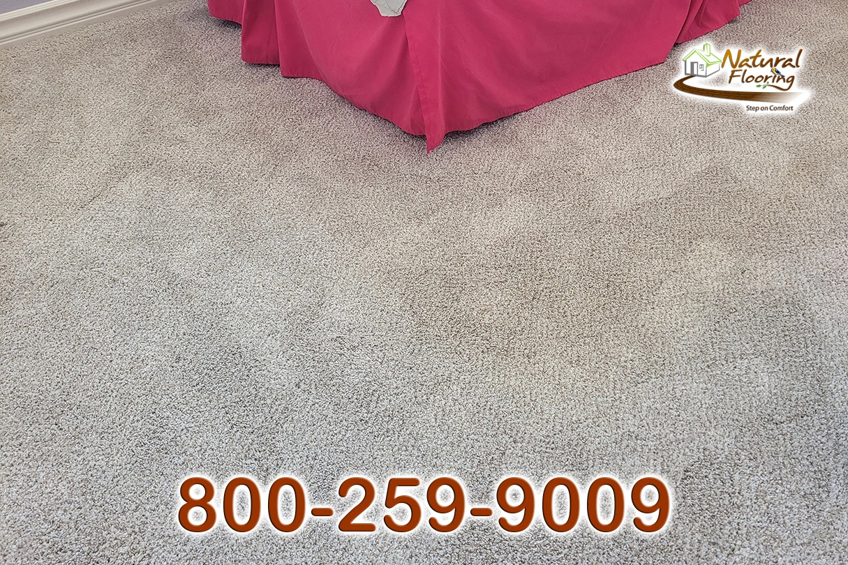 Trusplendor Mist Carpet